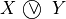 X $ \textcircled{ $\vee$ } $ Y